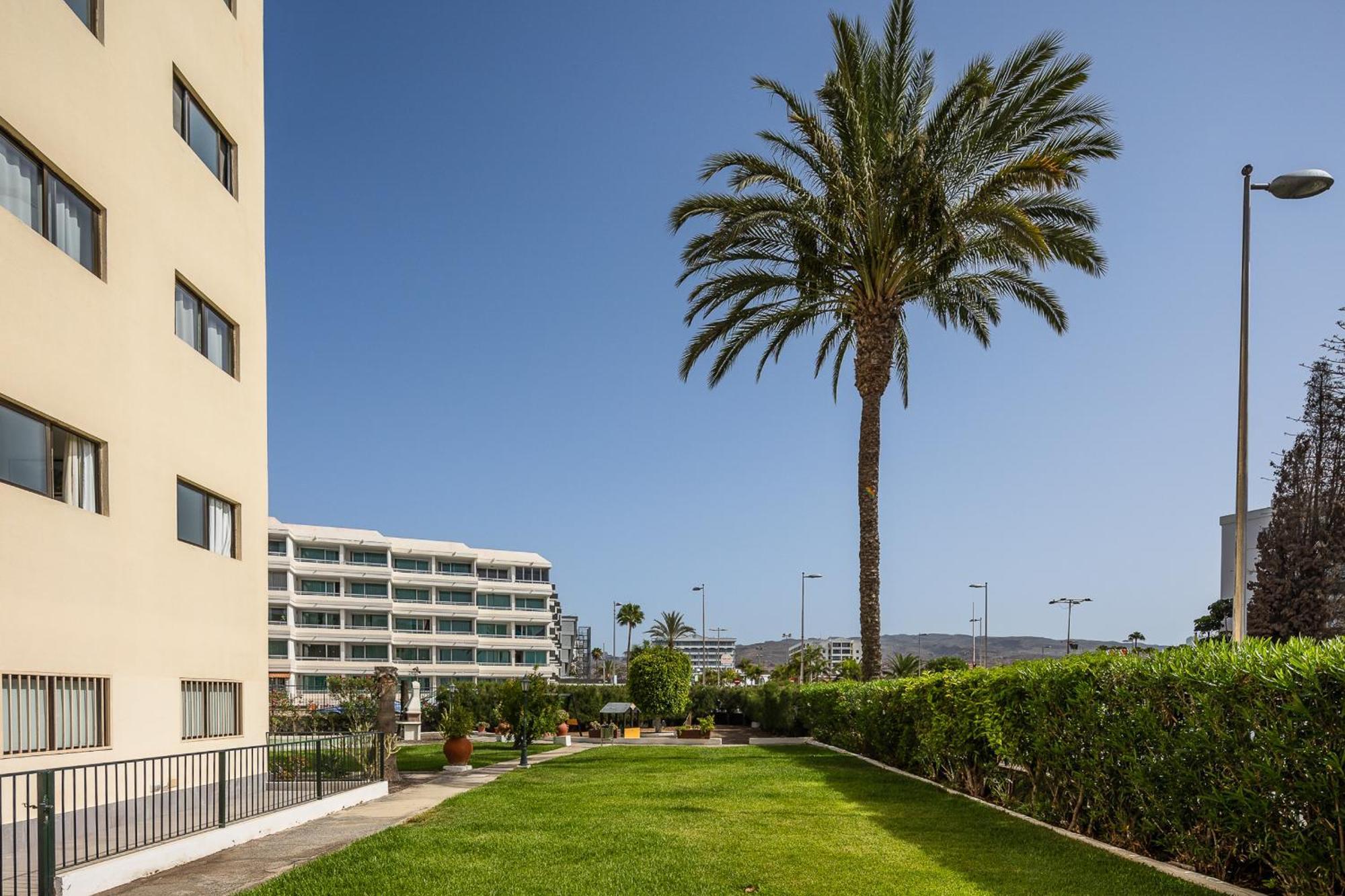 Los Ficus, Maspalomas Playa del Ingles  Luaran gambar